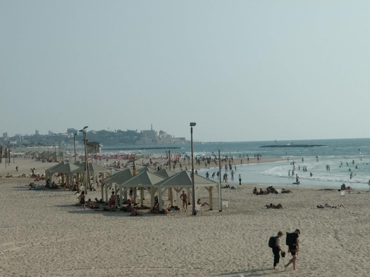 Reines5 Tlv
